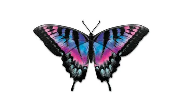9.85"L Metal Embossed Butterfly Sign: MD136289