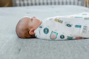 Abbey's House - Swaddle Blanket - Music Players Timeline
