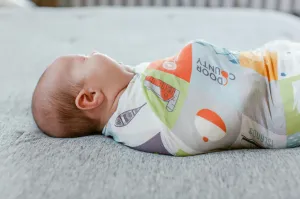 Abbey's House - Swaddle Blanket - Wisconsin Patchwork