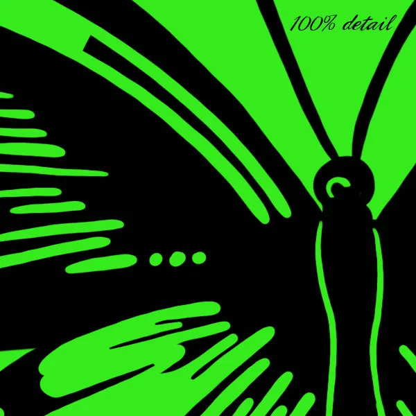 Butterfly Doodles