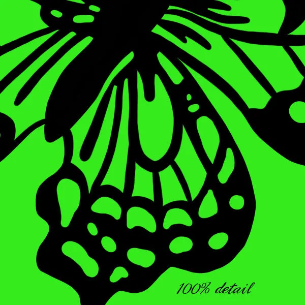 Butterfly Doodles