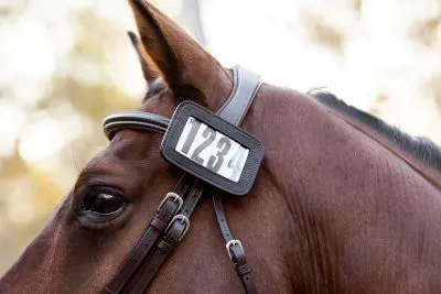 Cavalier Leather 4 Digit Bridle Number HolderBlack