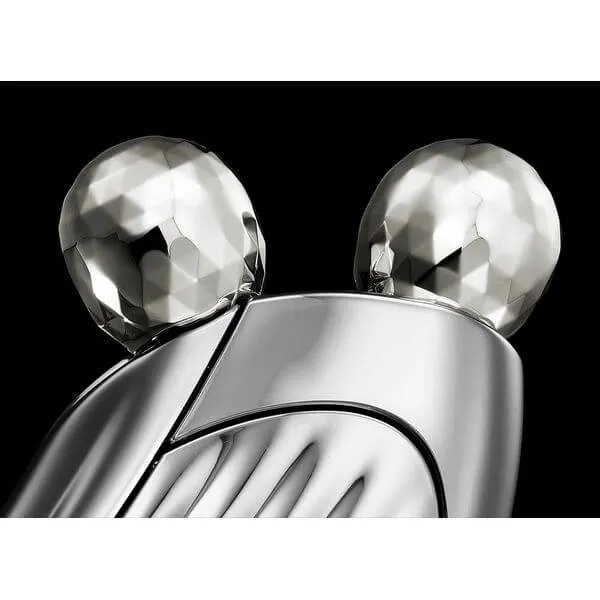 CAXA RAY Beauty Roller RF-RC2316B