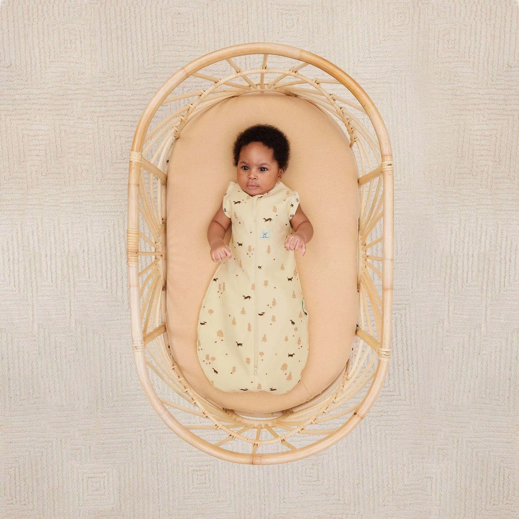 ergoPouch Cocoon Swaddle Bag - Doggos 1.0 Tog