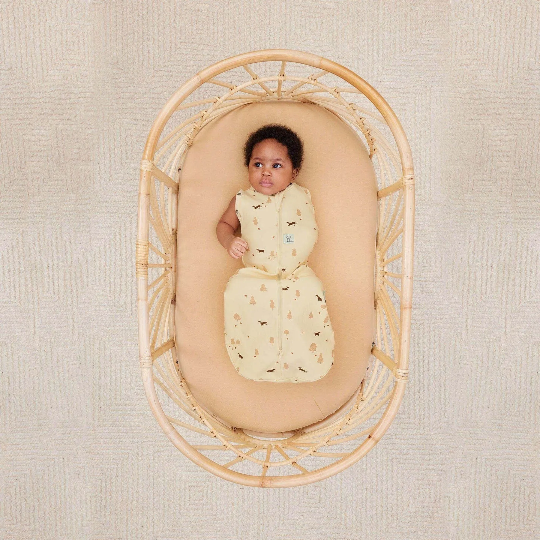 ergoPouch Cocoon Swaddle Bag - Doggos 1.0 Tog