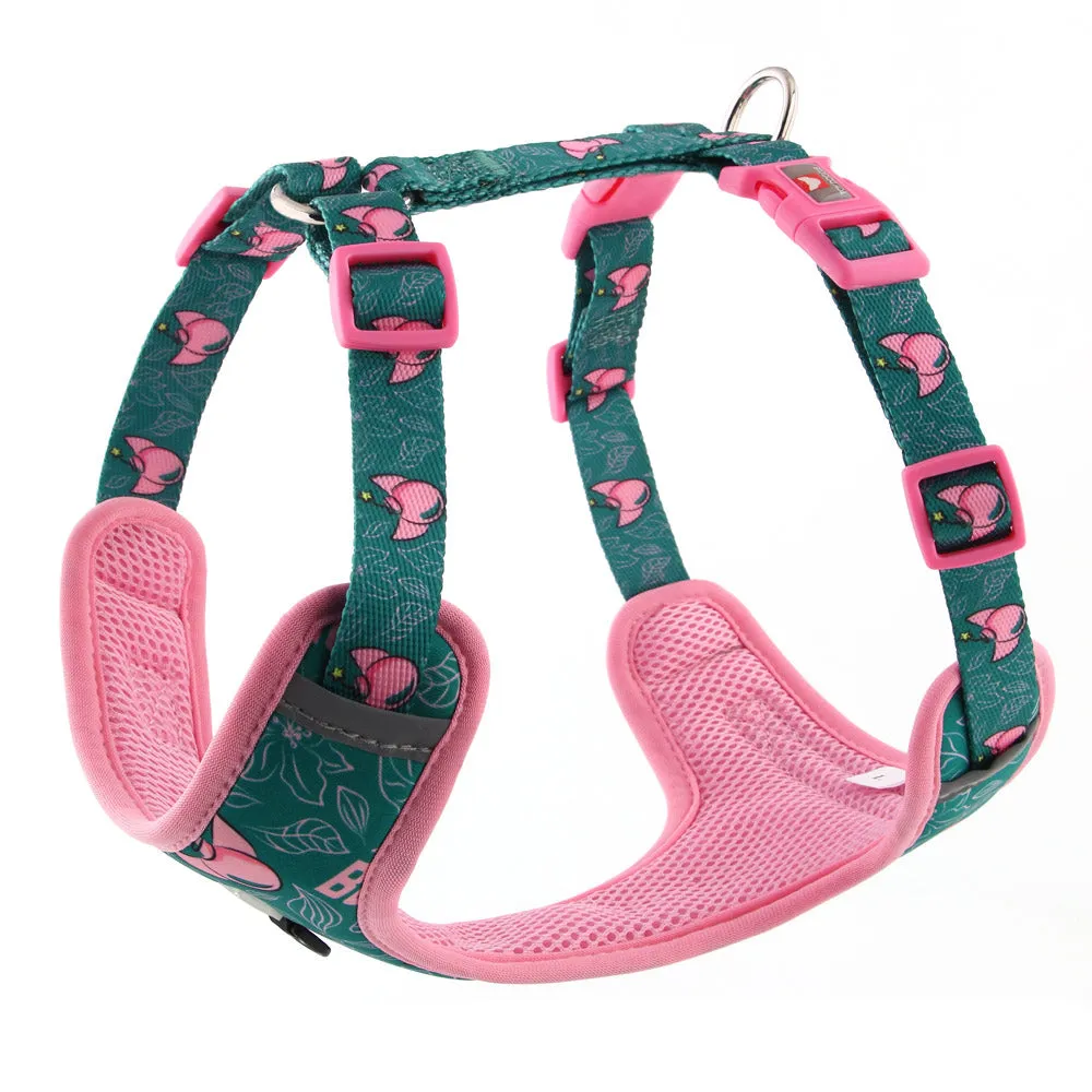 Expressions Bomba! Mesh Harness | Bomba Collection