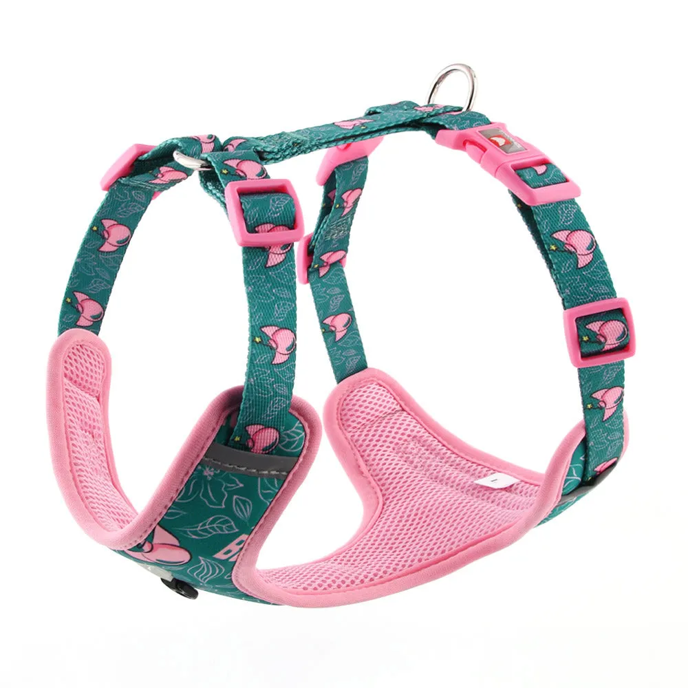 Expressions Bomba! Mesh Harness | Bomba Collection