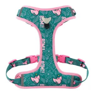 Expressions Bomba! Mesh Harness | Bomba Collection