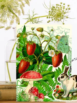 FD002P ~ Fandangle greeting card