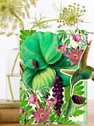 FD007P ~ Fandangle greeting card