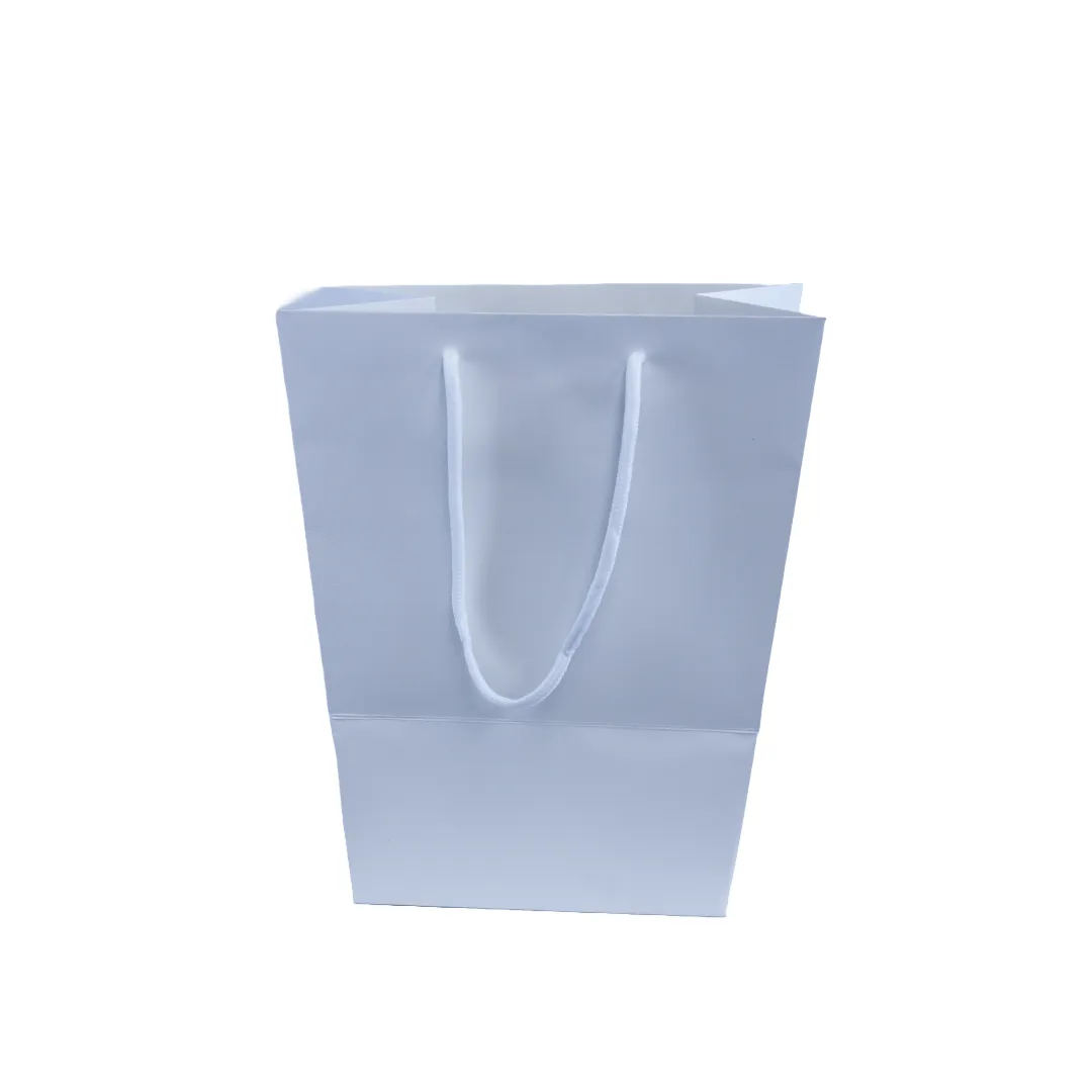Flower Carry Bag Gift Bag Tapered Gift Bag White Kraft with Window Pack 10 (25*18*28 cmH)