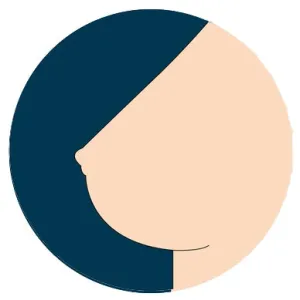 HR  Breast Option - Solid Breasts