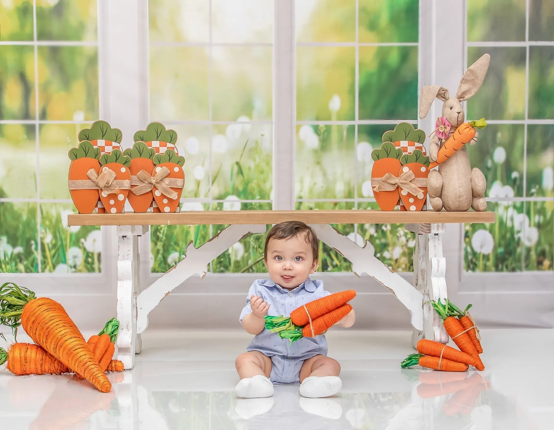 Kate Window Fleece Backdrop Spring Summer Garden Designed by Emetselch