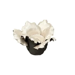 KIDDEE TAMDEE Daffodil Candle Holder - Grey Pearl