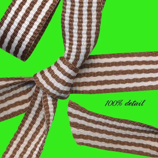 Many Stripes Ribbons