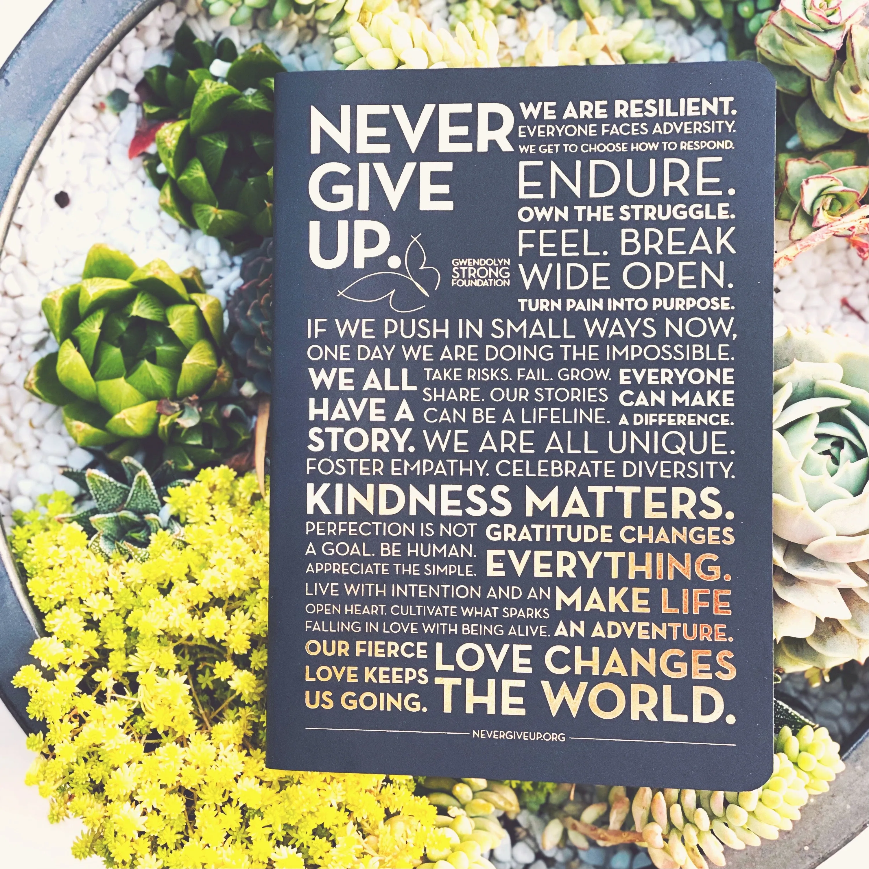 NEVER GIVE UP. MANTRA JOURNAL