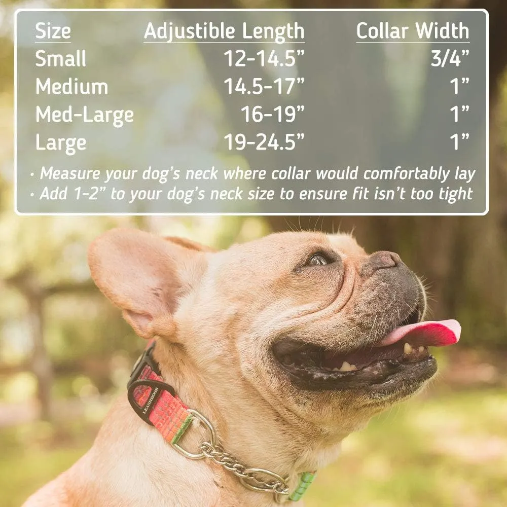 Patterned Reflective Chain Martingale Dog Collar - Pattern Collection