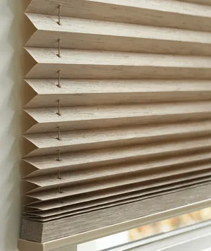 Pleated