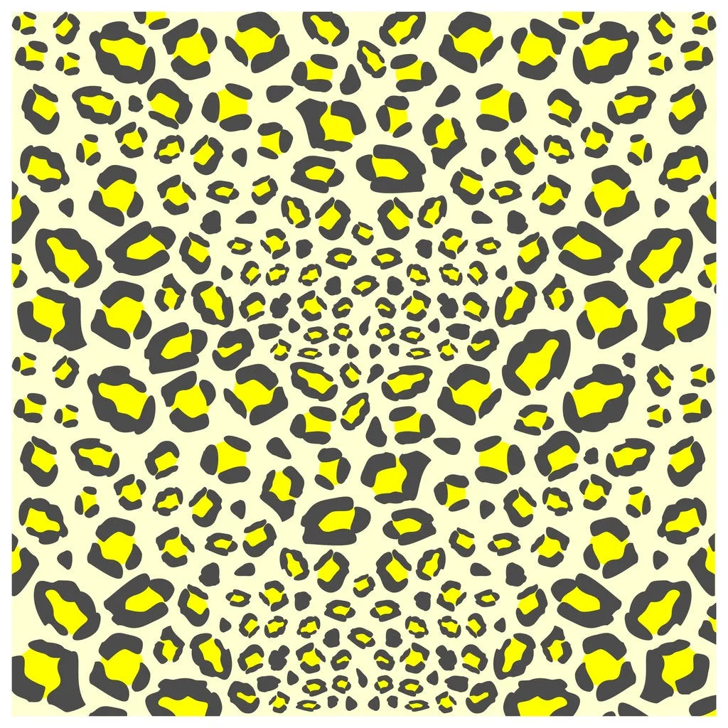Rainbow Leopards Patterns Adhesive Vinyl Sheet
