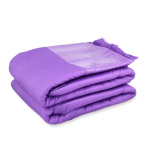 Rearz - Violet Seduction Nighttime Briefs