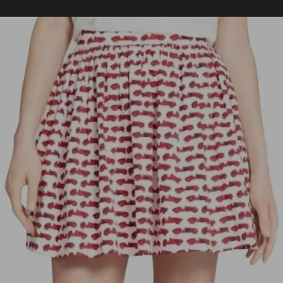 Red Patterned Skirt