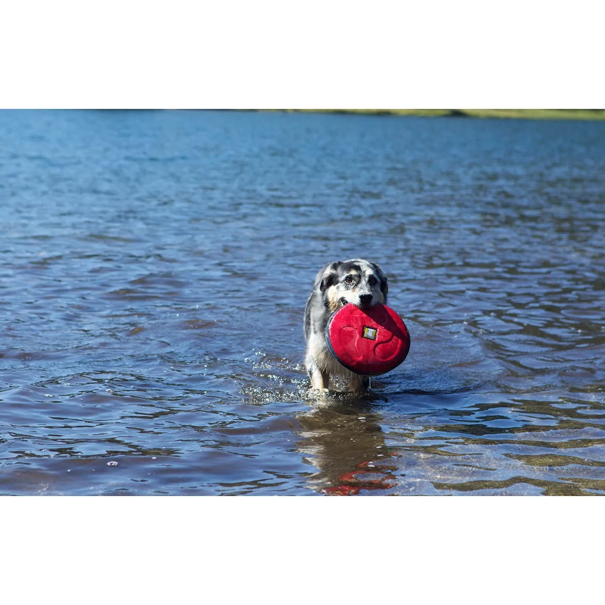 Ruffwear® | Hover Craft™ Long Distance Flying Disc