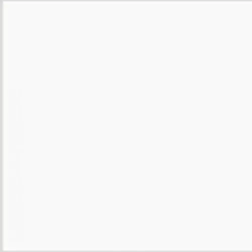Savage Widetone Seamless Background Paper | 107" x 36'  -  #01 Super White
