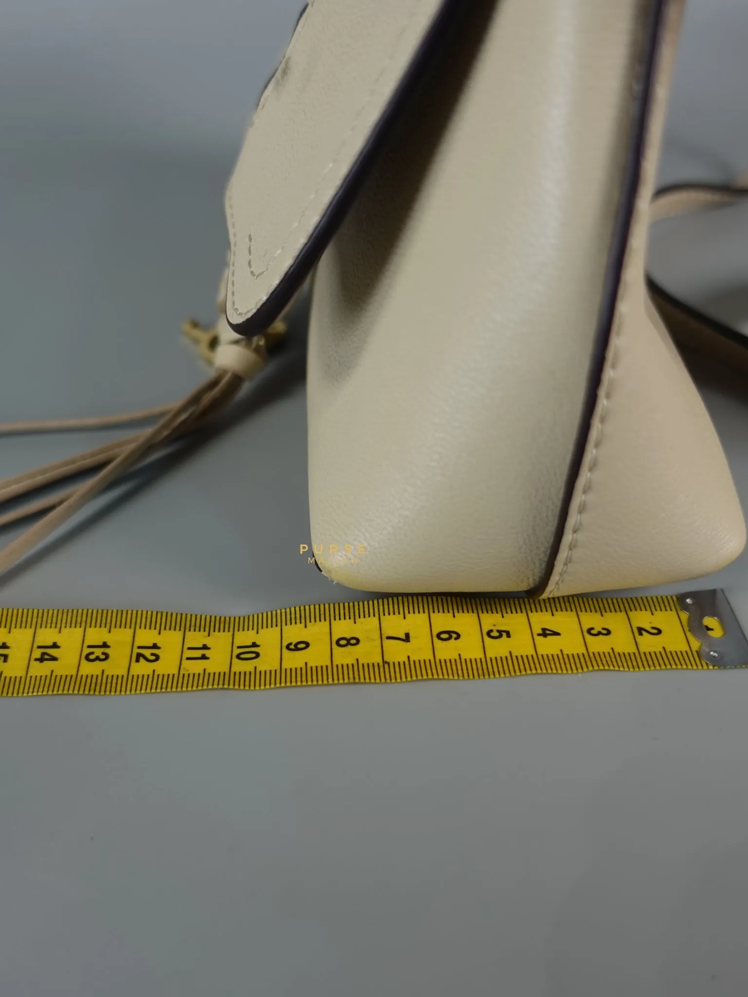See Mini Beige Leather Shoulder Bag