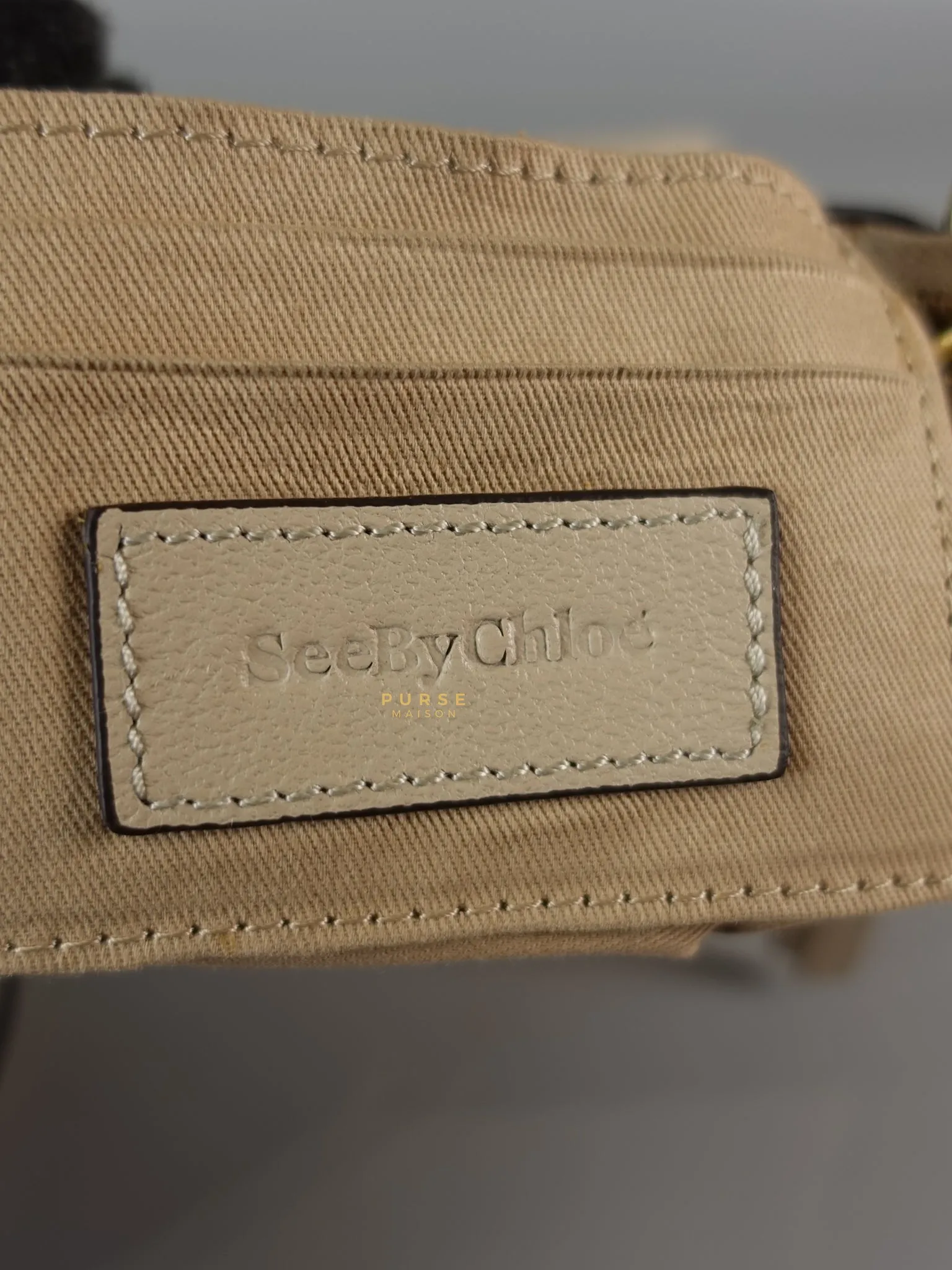 See Mini Beige Leather Shoulder Bag
