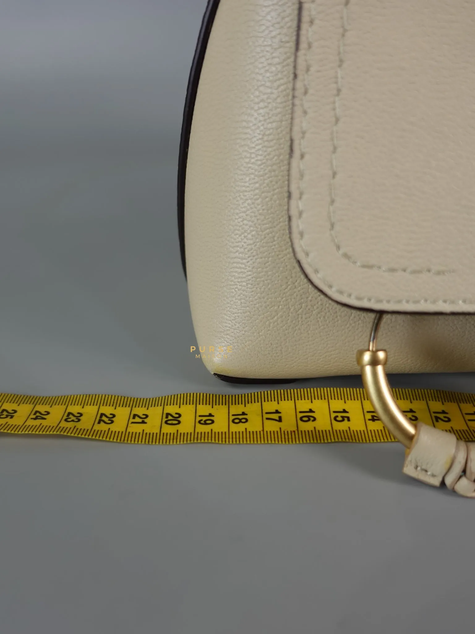 See Mini Beige Leather Shoulder Bag