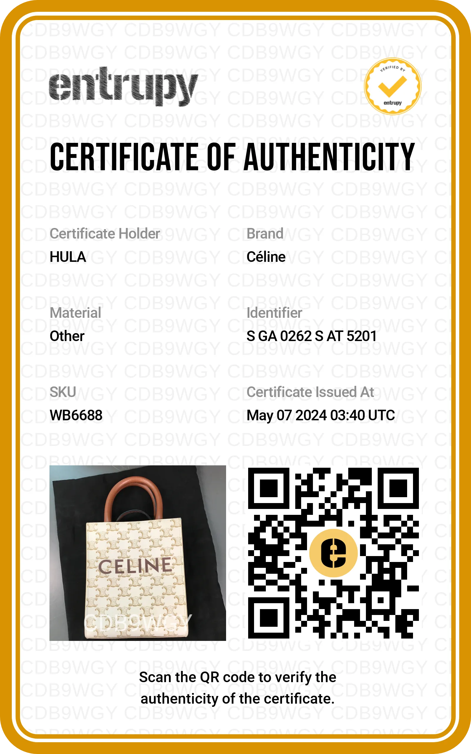 [WB6688] Celine | Cross-Body Bag