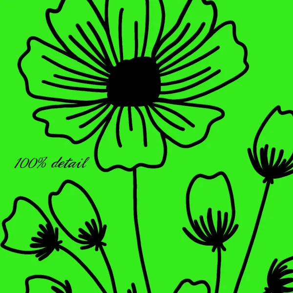 Wildflower Doodles