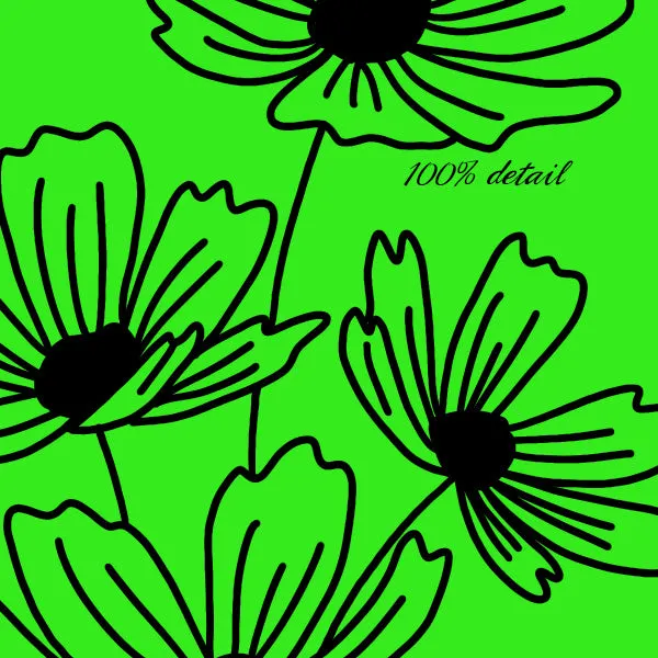 Wildflower Doodles