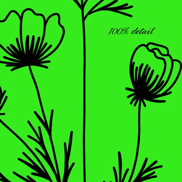 Wildflower Doodles