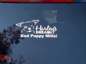 Window Decal - Harley's Dream